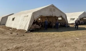 Başakşehir Adak Kurbanlık