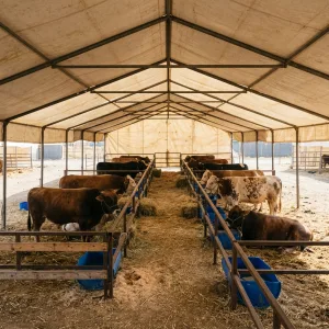 Sancaktepe Adak Kurbanlık